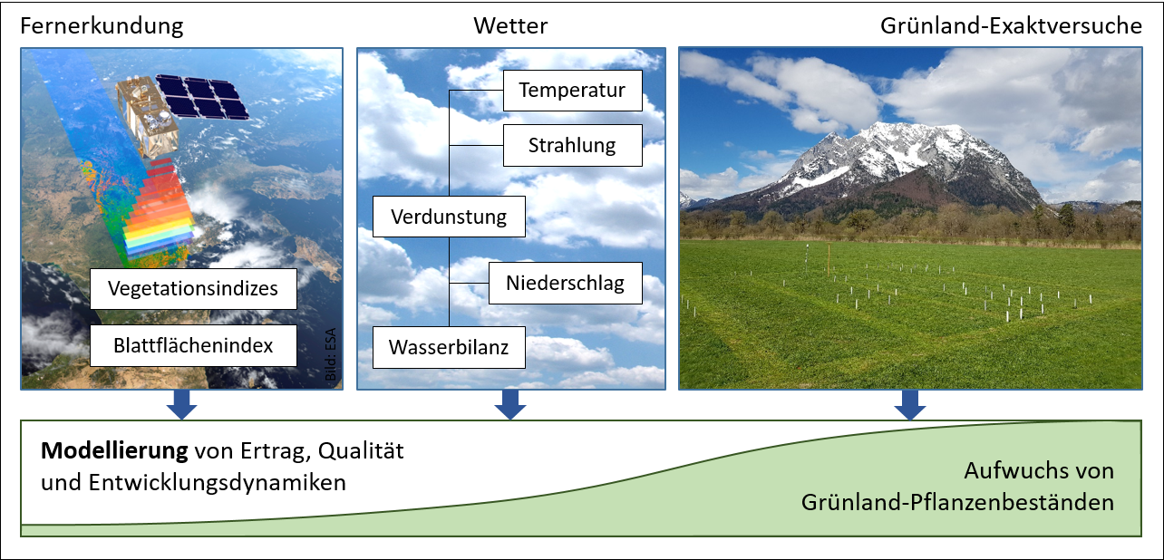 SatGrass Projektschema - Vom Satellit zum Landwirt